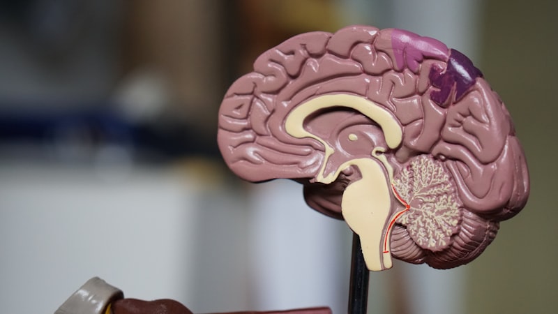 Ematologia Pediatrica